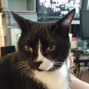 Meet your Posher, Beth